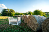Farm_6644-03643