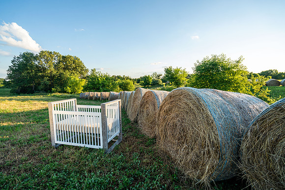 Farm_6644-03643
