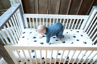 Farm_6644-03483