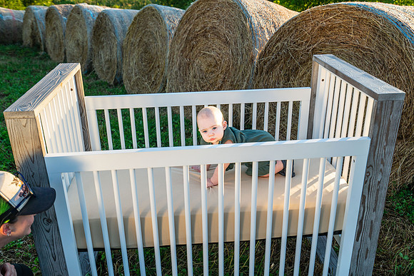 Farm_6644-03656