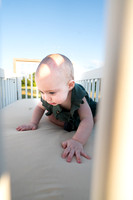 Farm_6644-03664