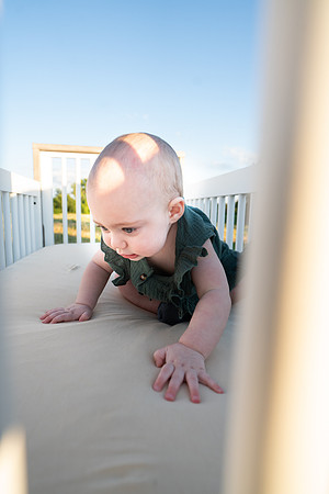 Farm_6644-03664
