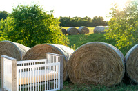 Farm_6644-03637