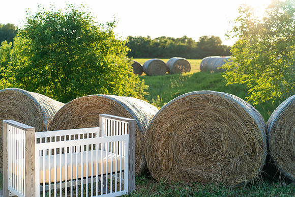 Farm_6644-03637