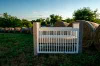 Farm_6644-03649