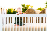 Farm_6644-03735