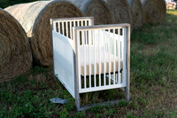 Farm_6644-03591