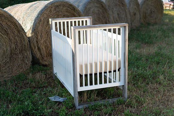 Farm_6644-03591