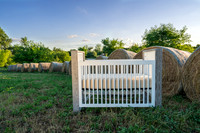 Farm_6644-03652