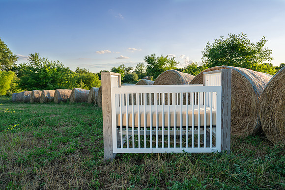 Farm_6644-03652