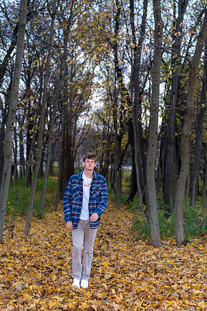 Cole_proofs-4804